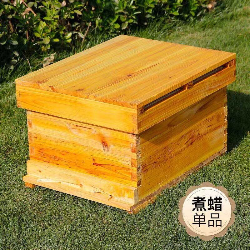 Beehive Frame Wax - Perlengkapan Sarang Lebah Lengkap 10 Bingkai