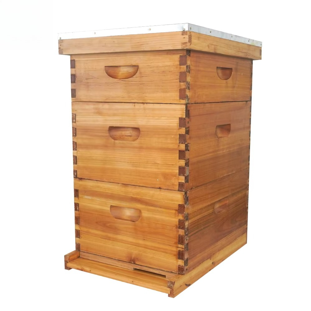 Beehive Frame Wax - Sarang lebah Langstroth 3 lapis berlapis