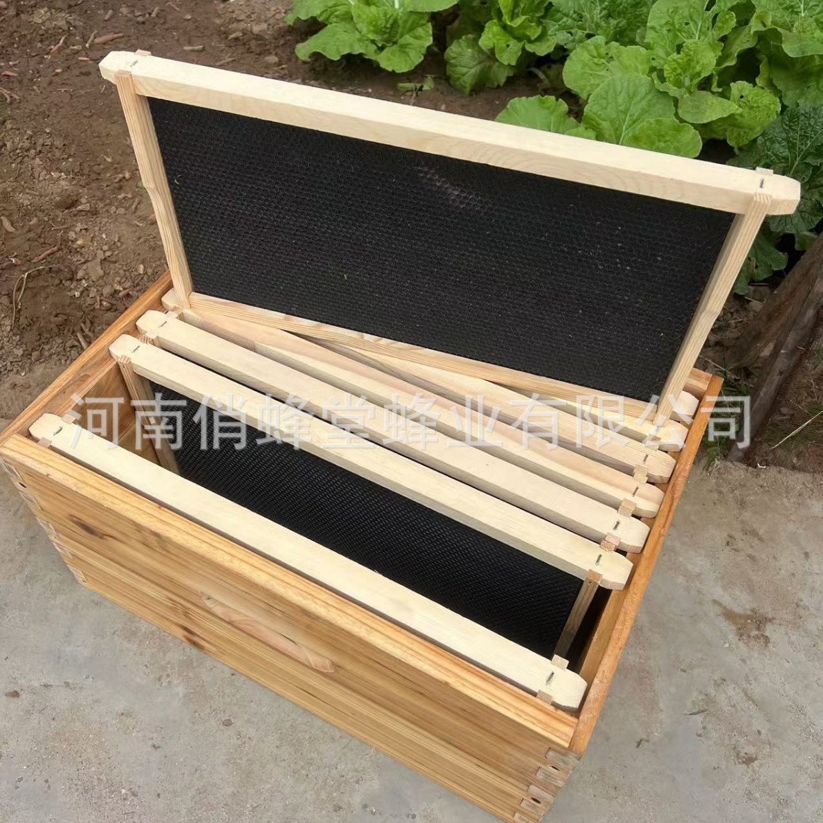 Alat Peternakan Lebah Kelas Sa - Beehive Frame Wax ulasan dan harga