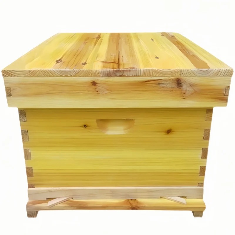 Sarang Lebah di Kotak Lebah, S - Beehive Frame Wax ulasan dan harga
