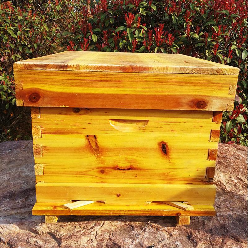 Satu set lengkap peralatan pet - Beehive Frame Wax ulasan dan harga