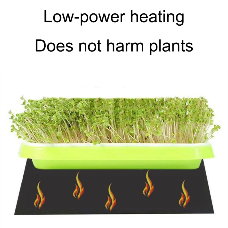 Bantalan Pemanas Habitat Repti - Seedling Heat Mat ulasan dan harga