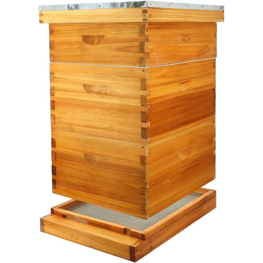 Kit Sarang Lebah 10 Bingkai de - Beehive Frame Wax ulasan dan harga