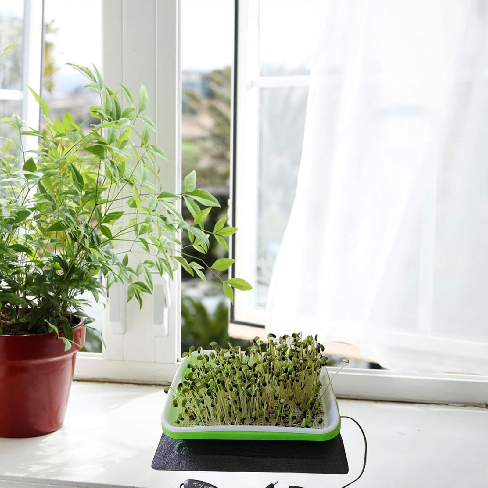 Alas Pemanas Hidroponik untuk  - Seedling Heat Mat ulasan dan harga